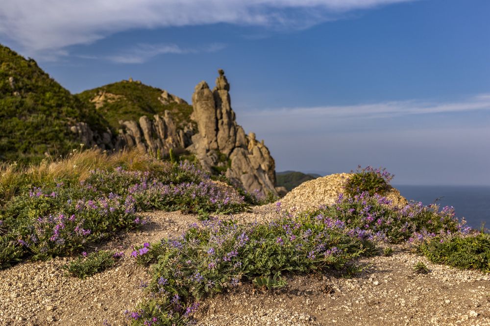 Photograph by ALEKSANDR KUZNETSOV