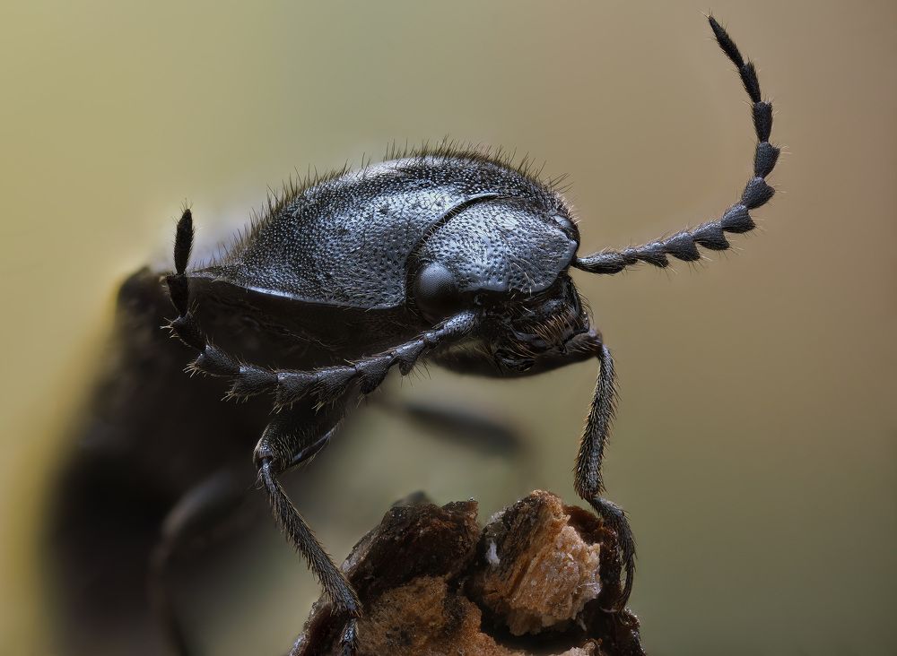 Photograph by Юрий Юрьевич