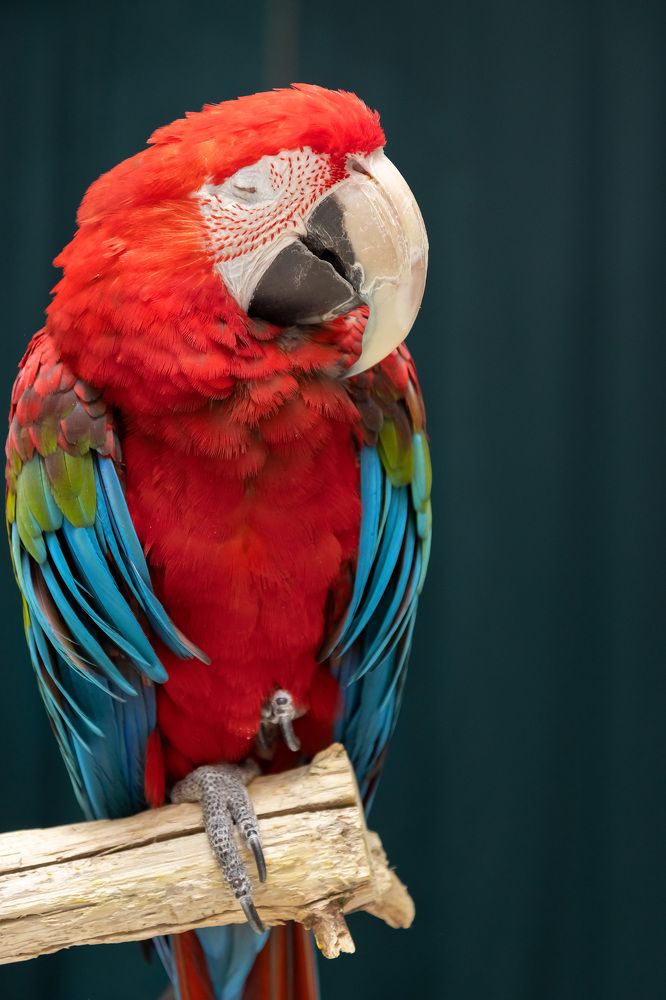 Photograph by Анна Юрочкина