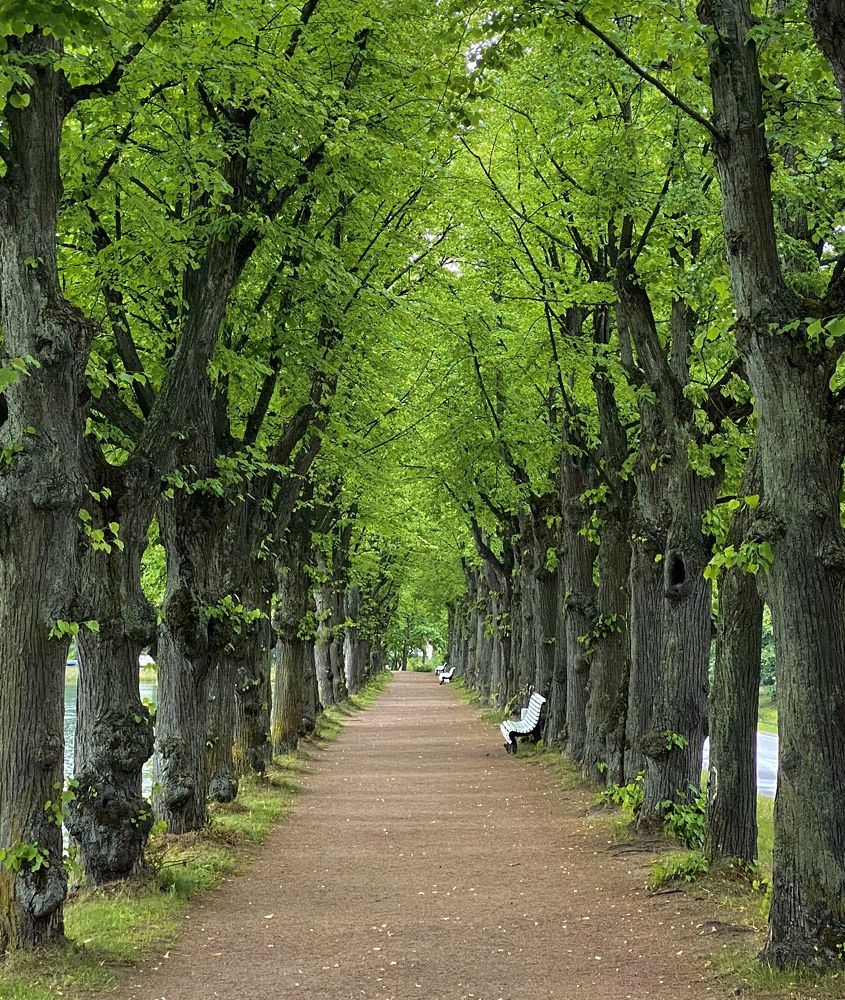 Фотография автора Вадим Жигулин