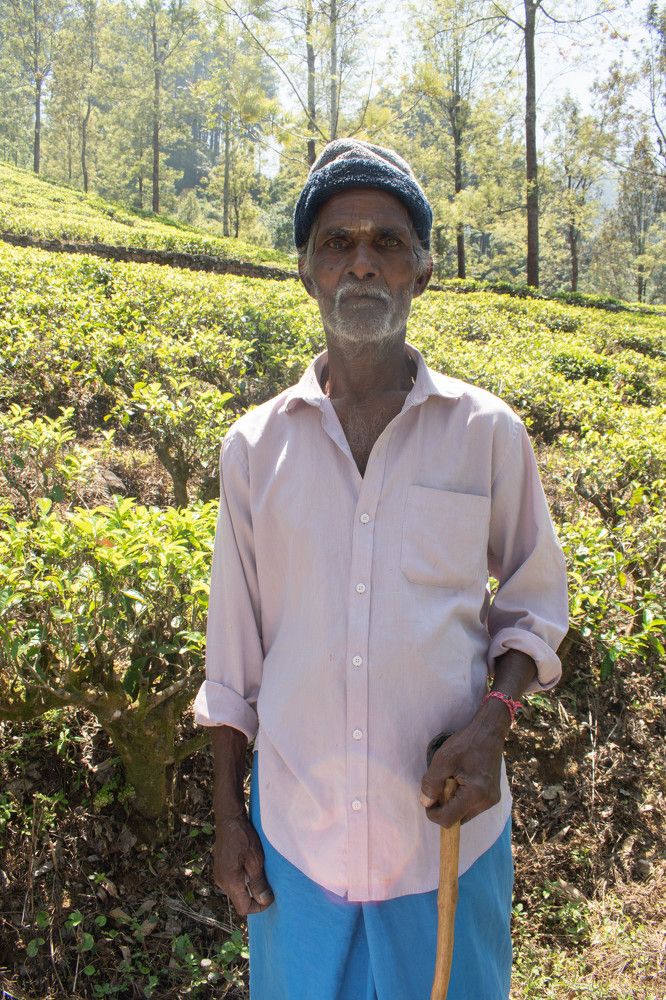 Фотография автора Яврова Татьяна