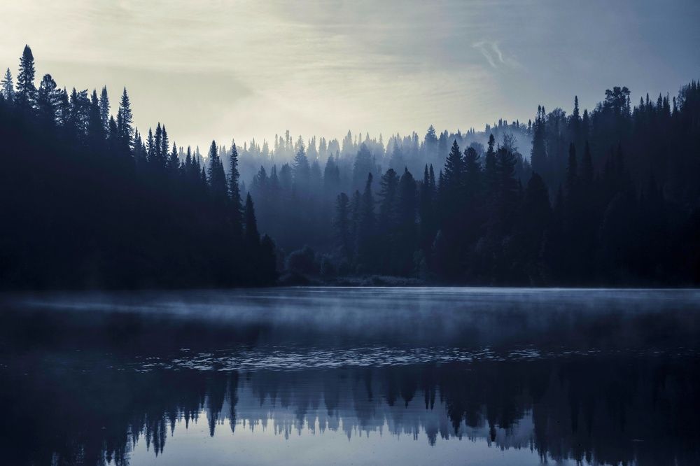 Photograph by Юлия Серазетдинова