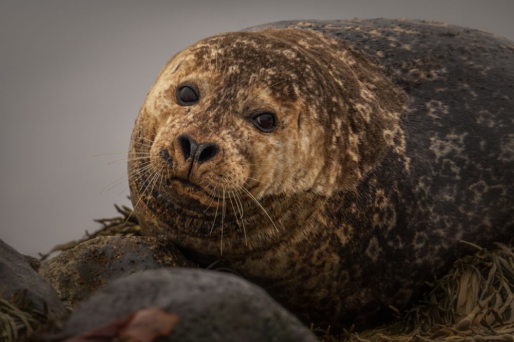 Photograph by Георгий Бычковский