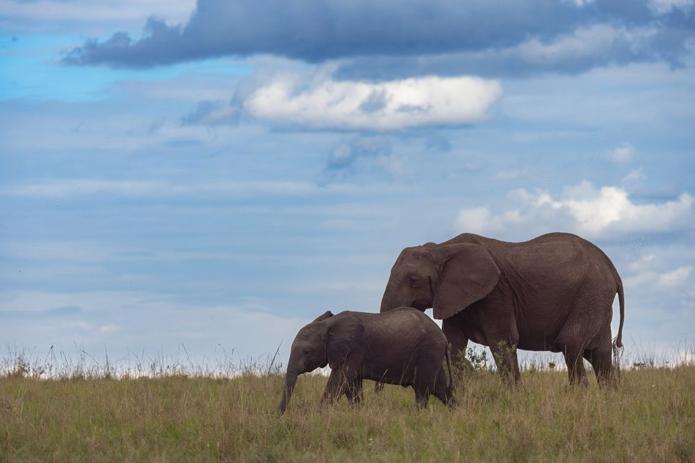 Photograph by praveesh pv