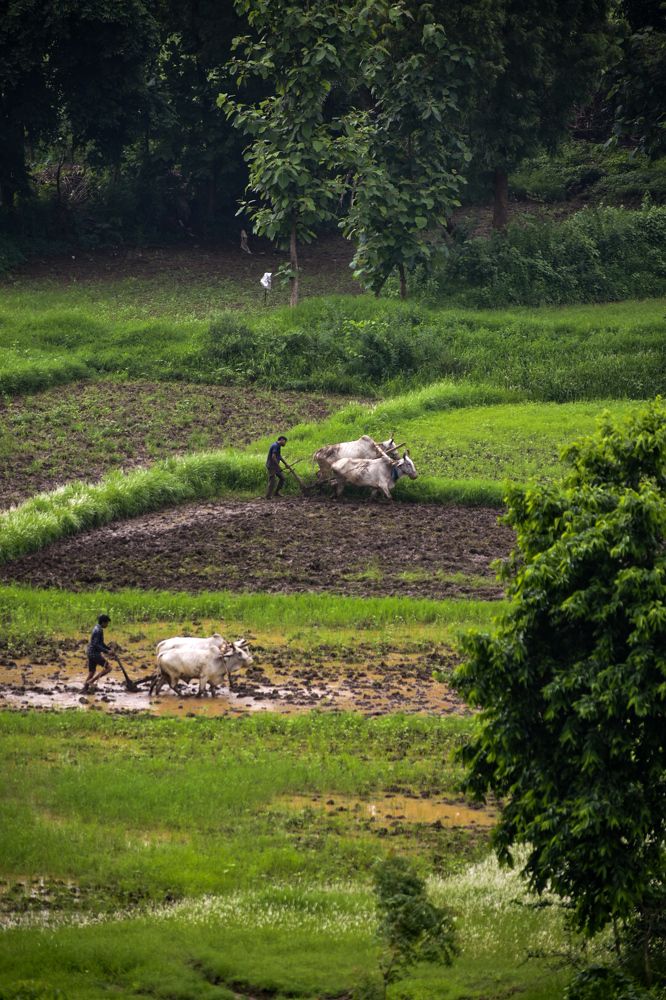 Фотография автора ABHISHEK SHAH