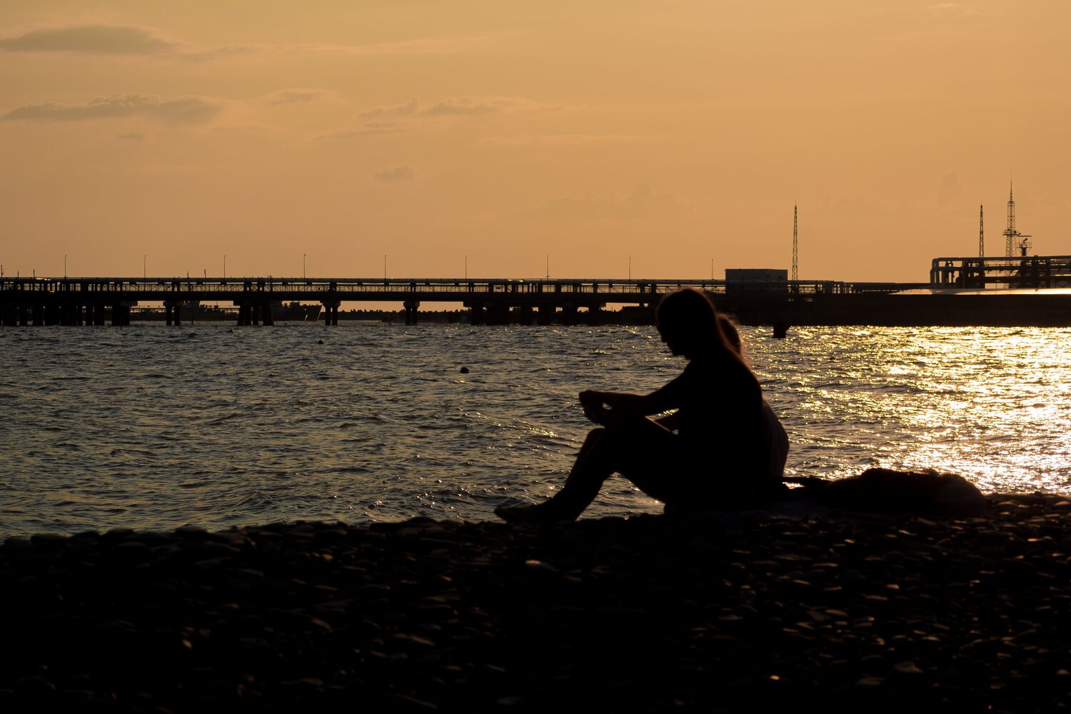 Photo #9388072