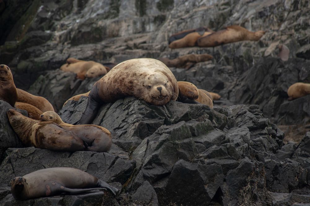 Photograph by Екатерина Долгова