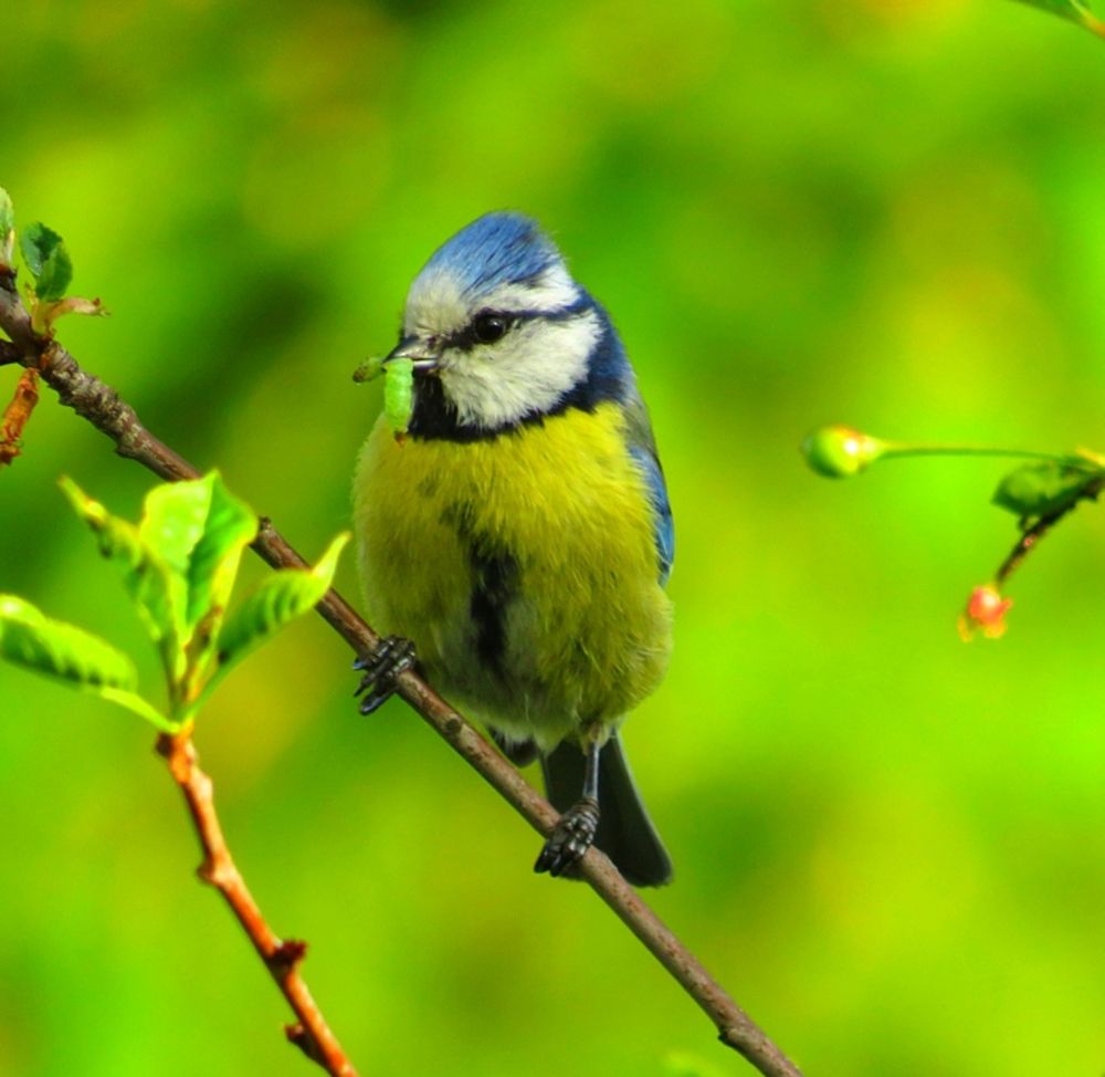 Photograph by Елена Кузина