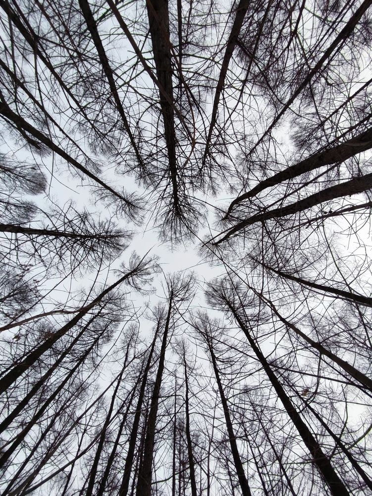 Photograph by Galina Novichkova