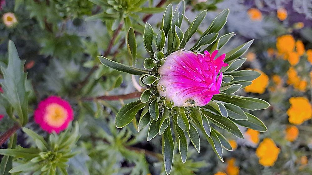 Photograph by Николай Худяков