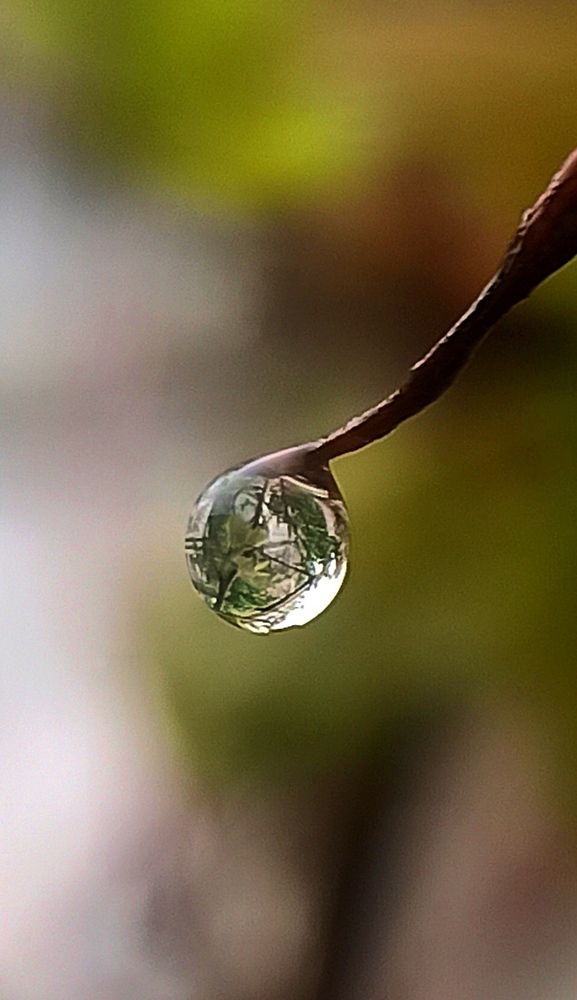 Photograph by Ольга Тихонова