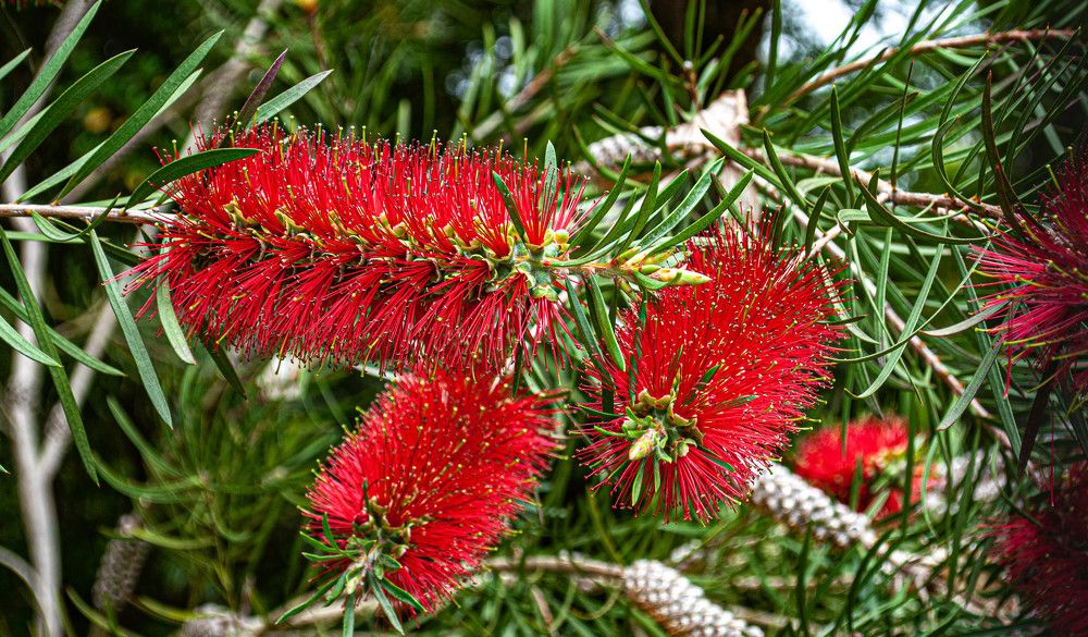 Photograph by Алекскандр Фатеев