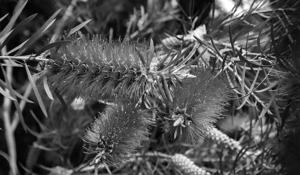 Photograph by Алекскандр Фатеев