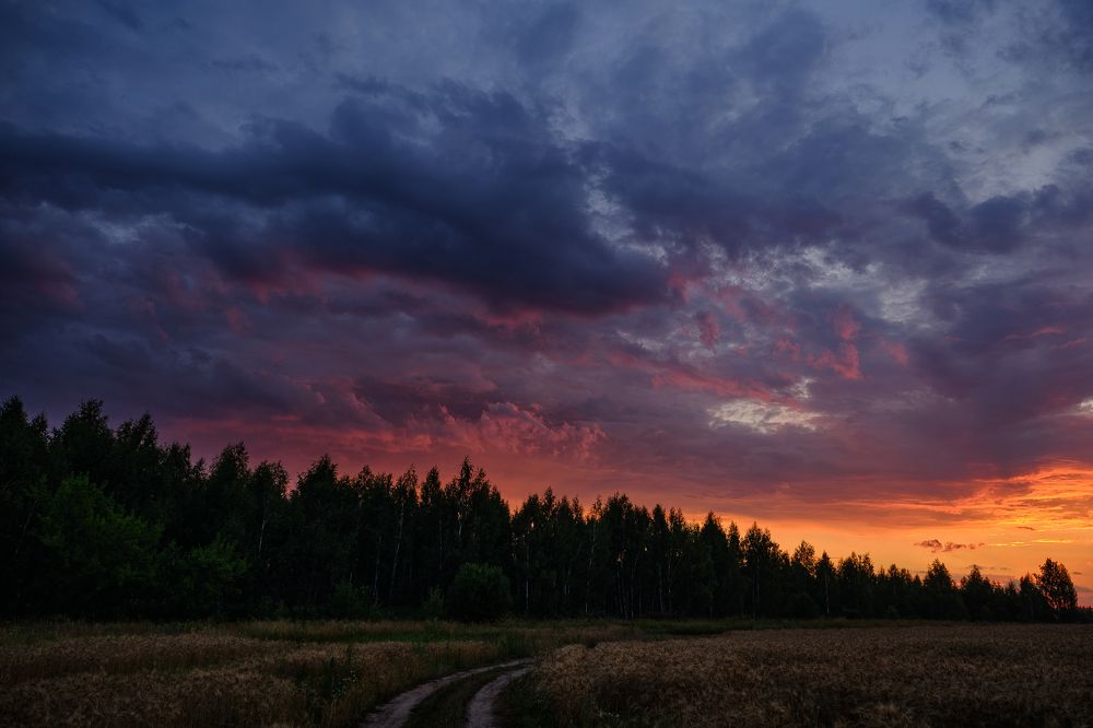 Photograph by Василий Арлашов