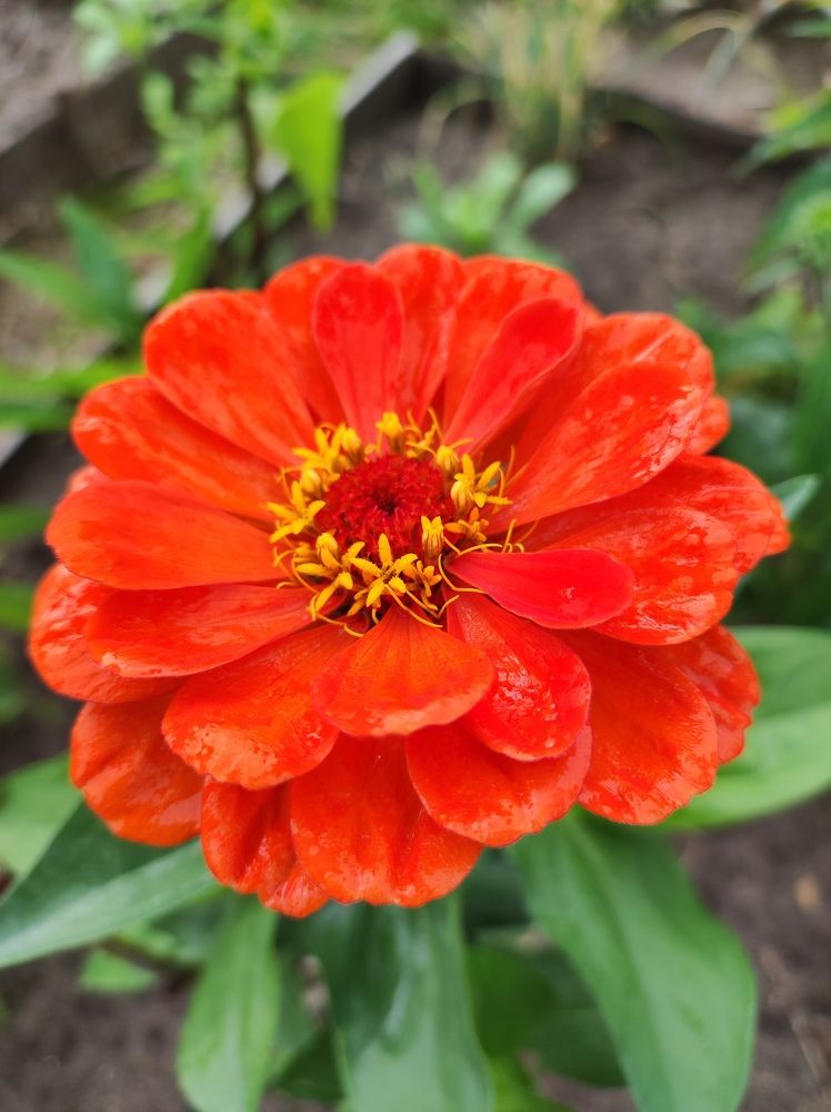 Photograph by Татьяна