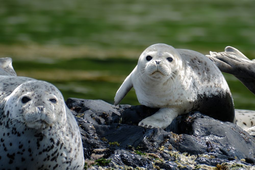 Photograph by Василий Арлашов