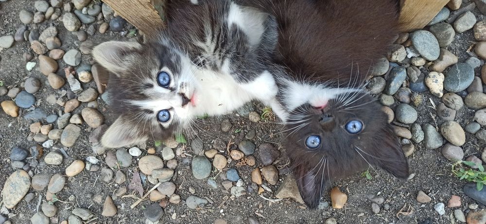 Photograph by Виорика