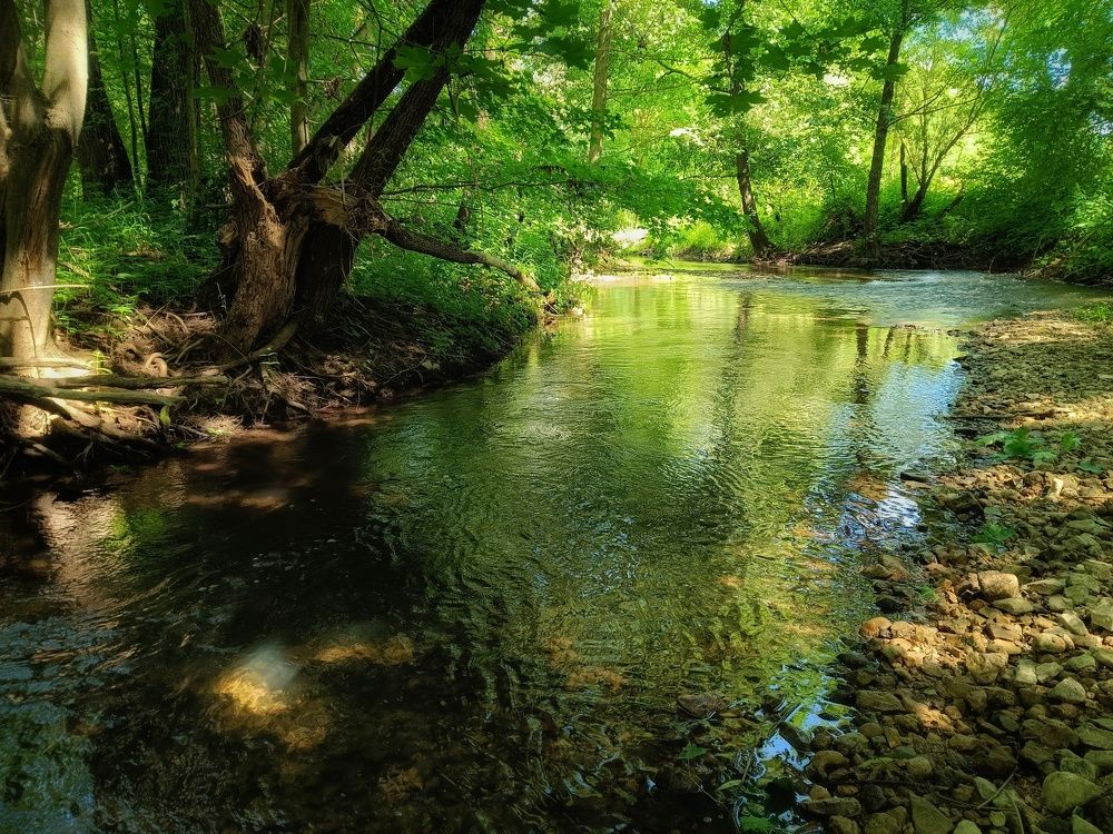 Photograph by Светлана Кондрашова