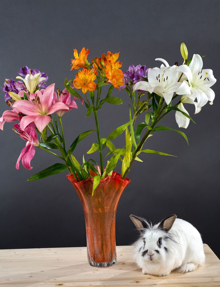 Photograph by Римма Волченко