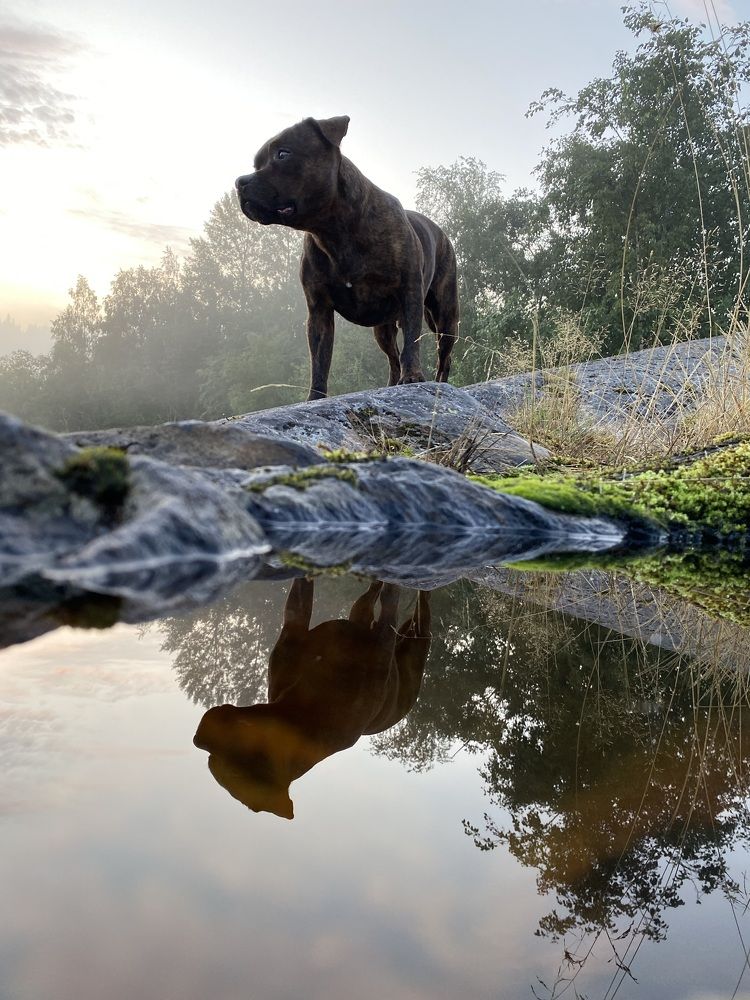 Photograph by Марина Суздаль