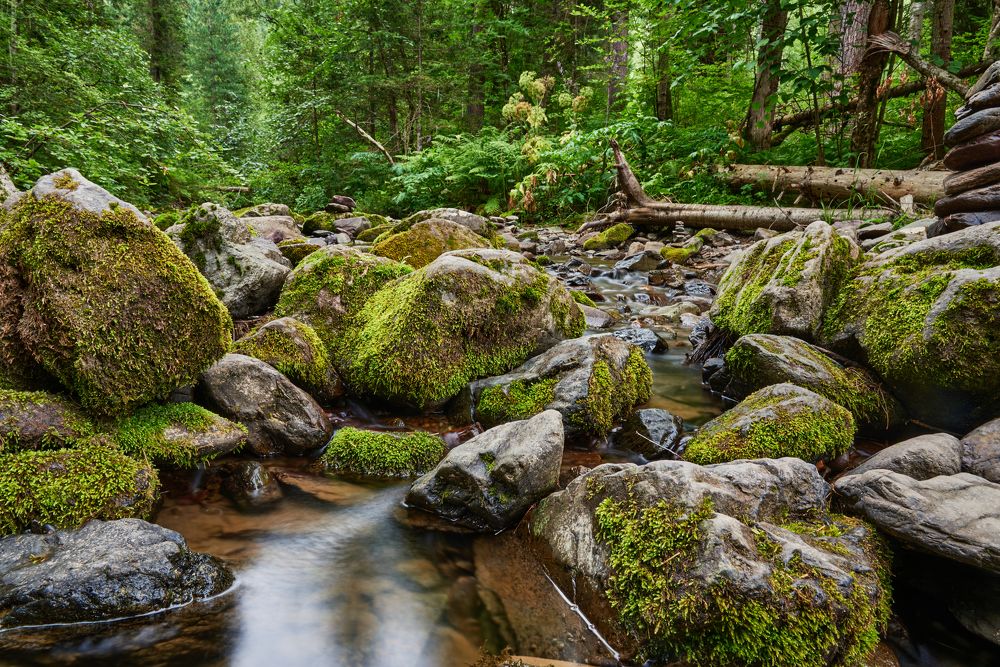 Третья речка