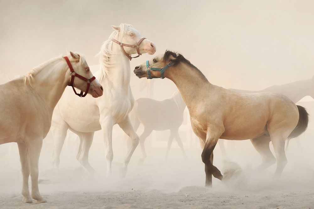 Photograph by Дарья Ералева