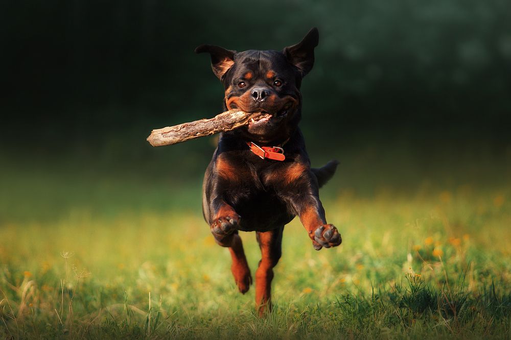 Photograph by Дарья Ералева