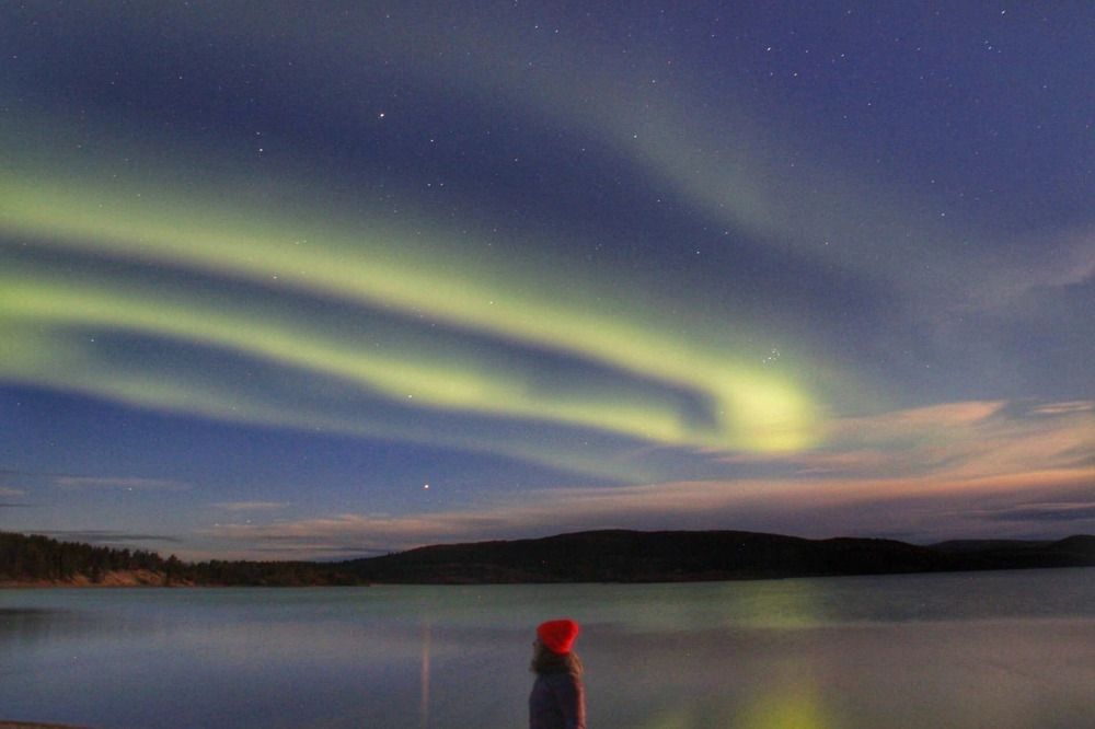 Фотография автора Светлана Терехова