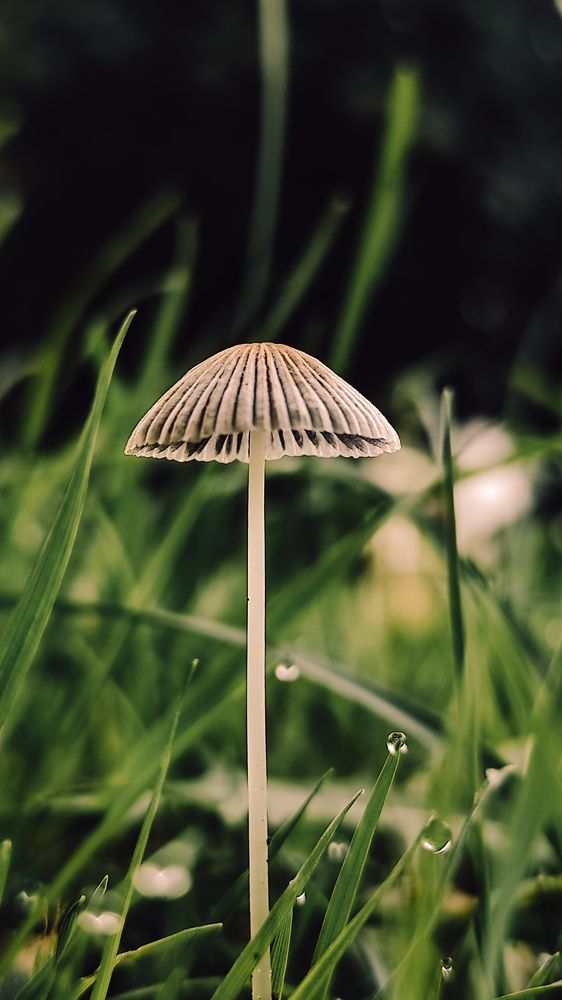 Photograph by Анастасия Черкасова