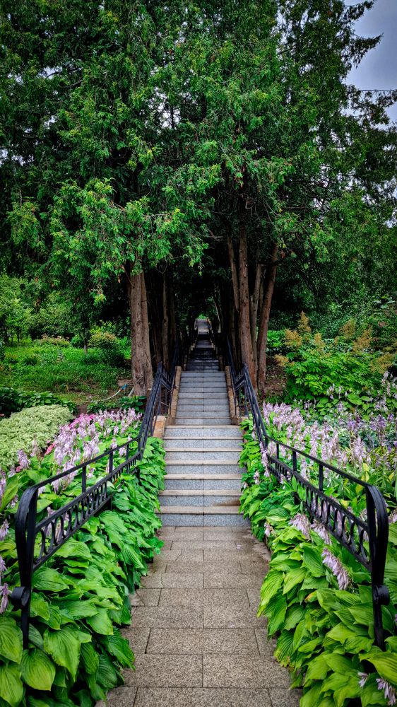 Фотография автора Всеволод Юрша