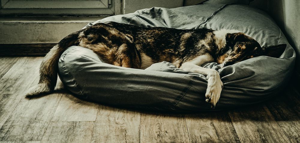 Фёдор и Марс