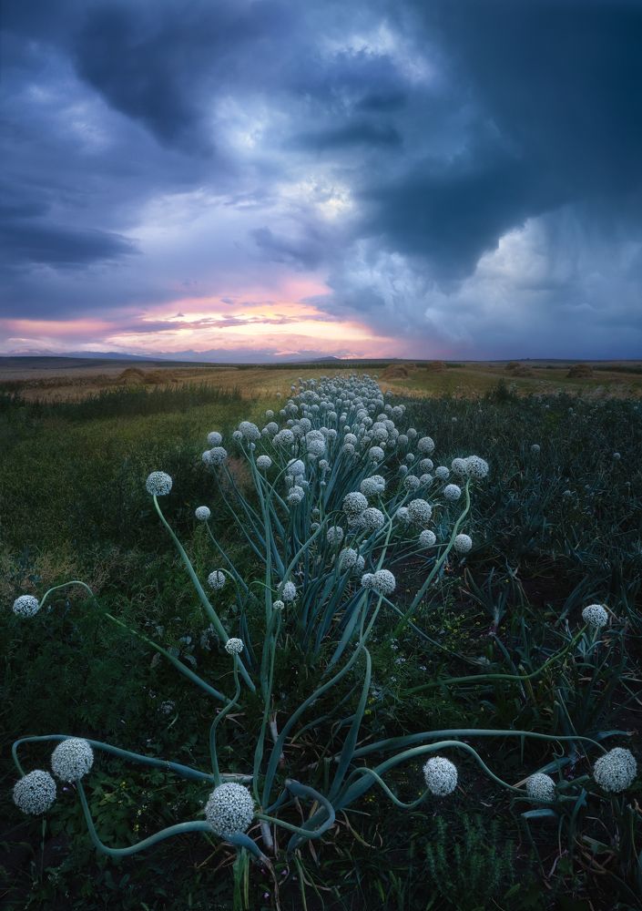 Photograph by Helen Vasilieva