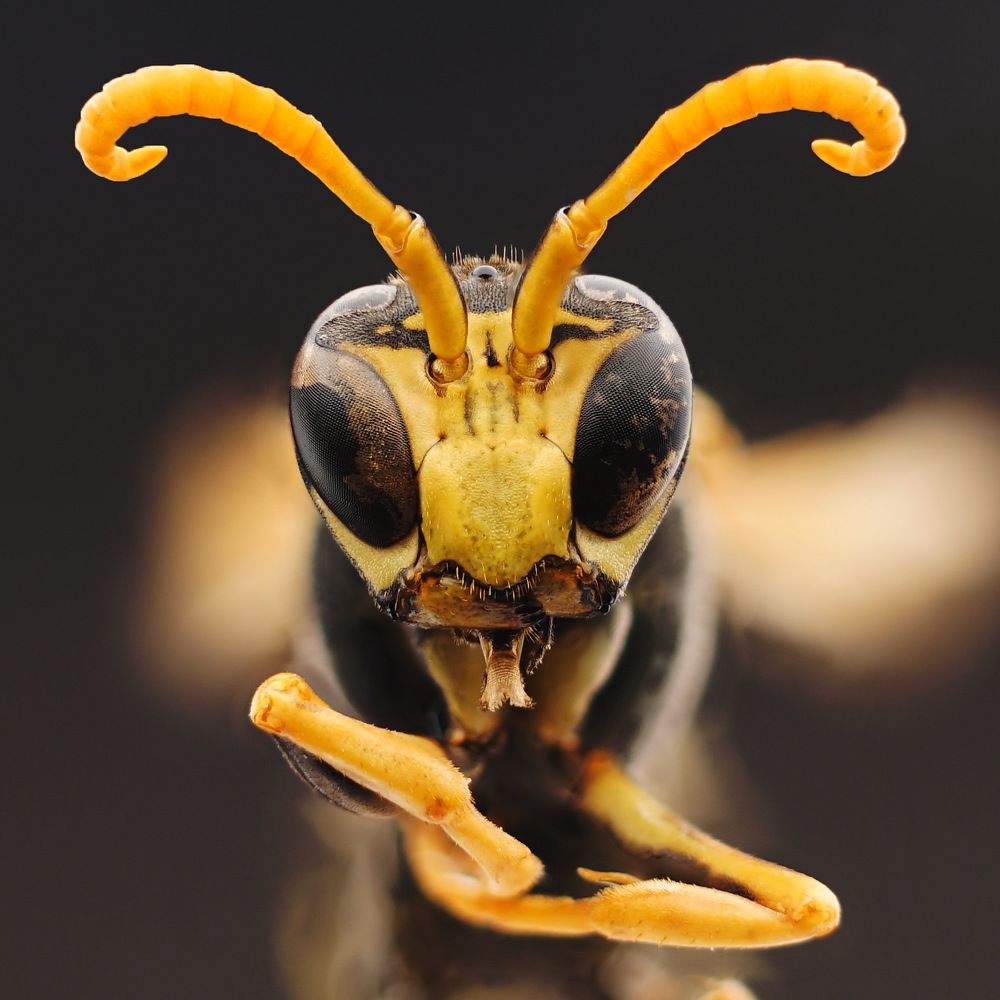 Photograph by Arturs Buza-Bosvehters