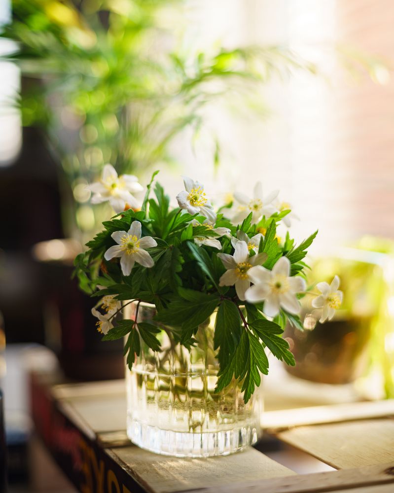 Photograph by Arturs Buza-Bosvehters