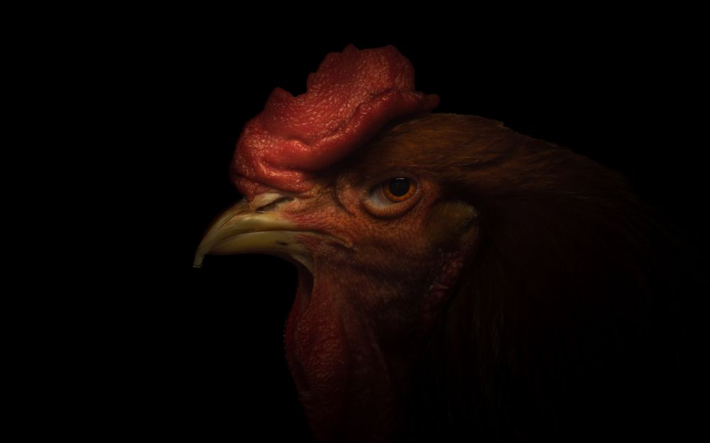 Photograph by Stanislav Shelby