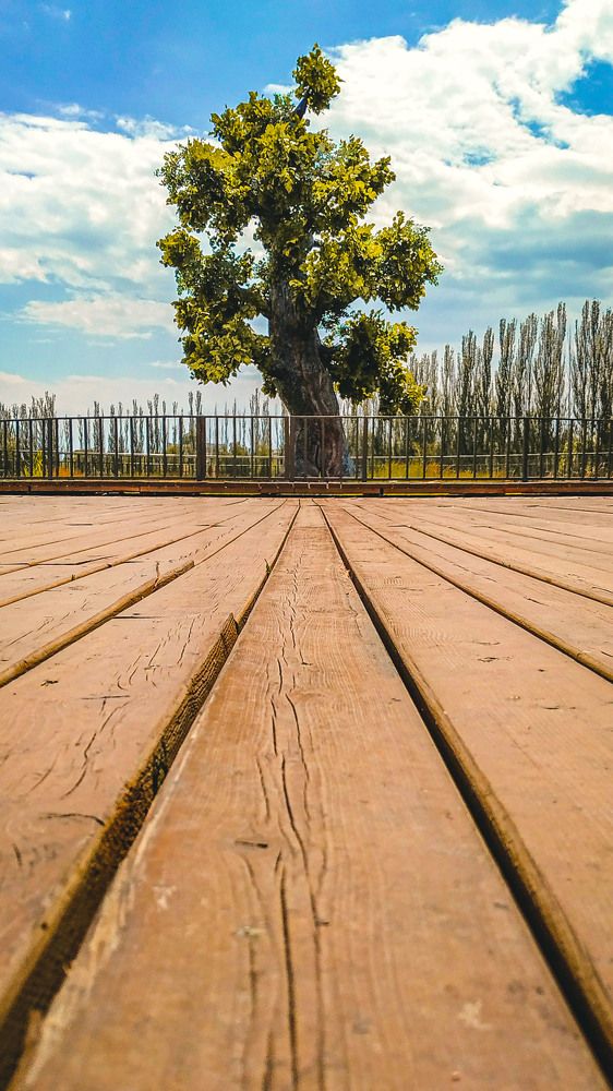 Фотография автора Сергей Рыженко