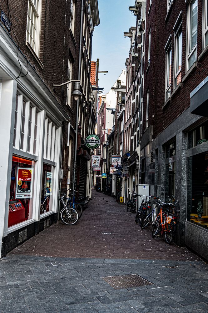 Photograph by Дмитрий Плотников