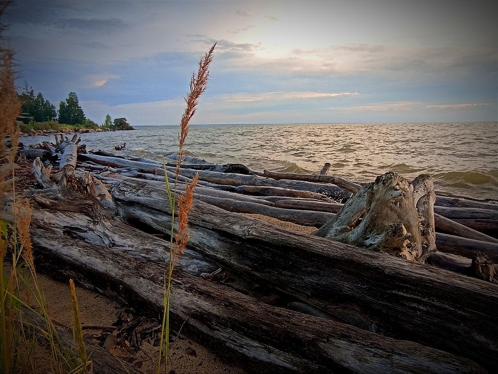 Photograph by Дмитрий Хохуля