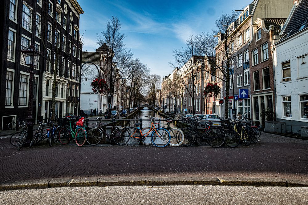 Photograph by Дмитрий Плотников