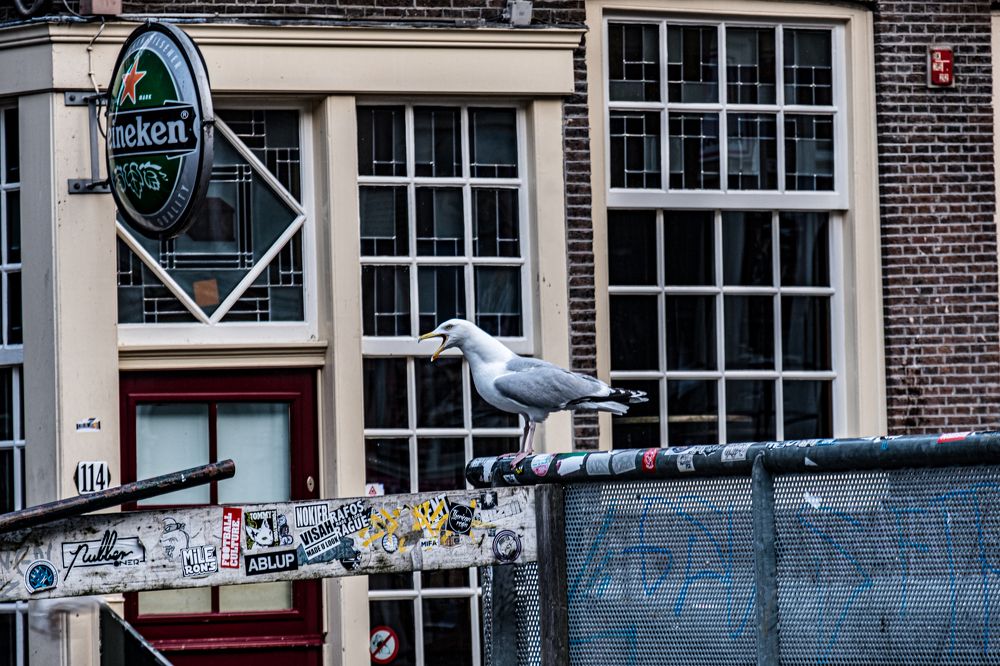 Photograph by Дмитрий Плотников