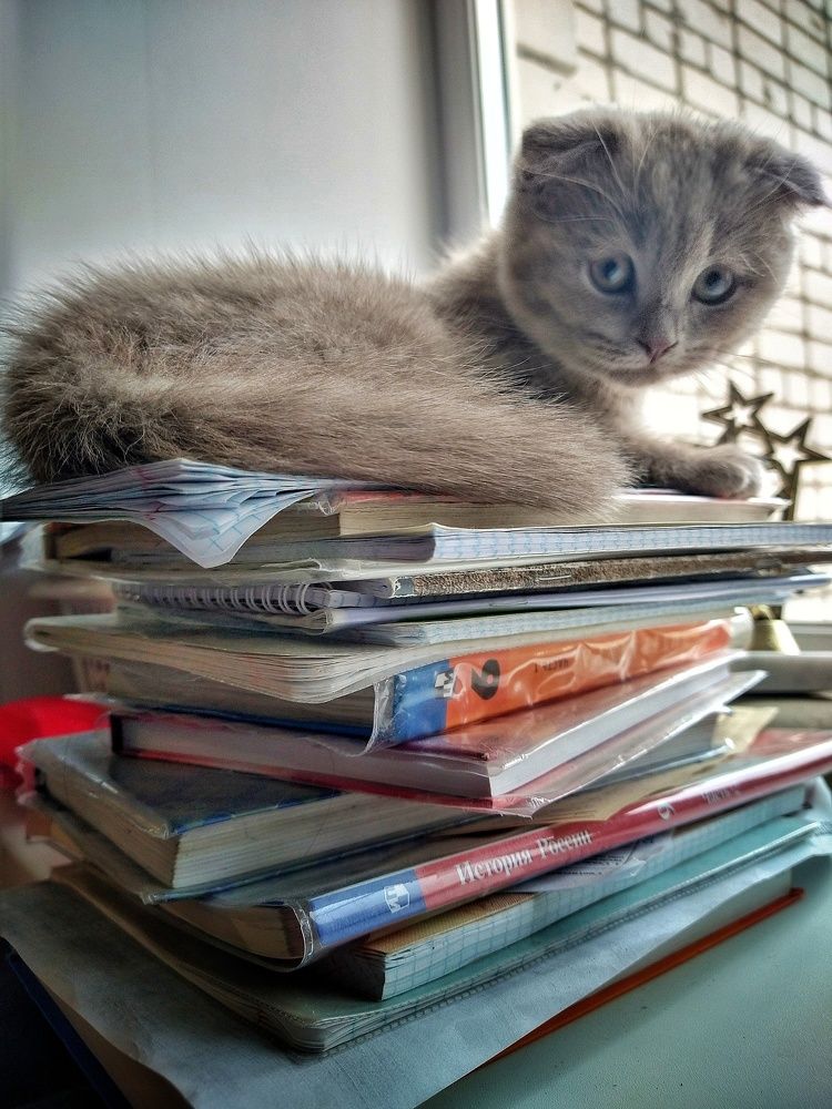 Photograph by Елена Силантьева