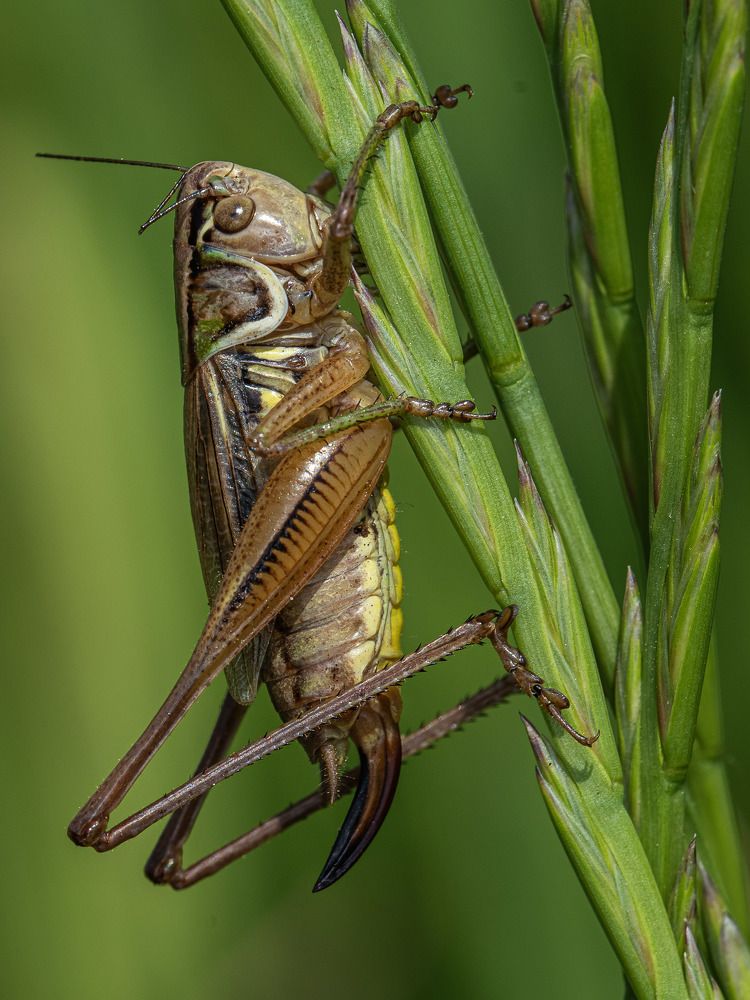 Photograph by Наталья