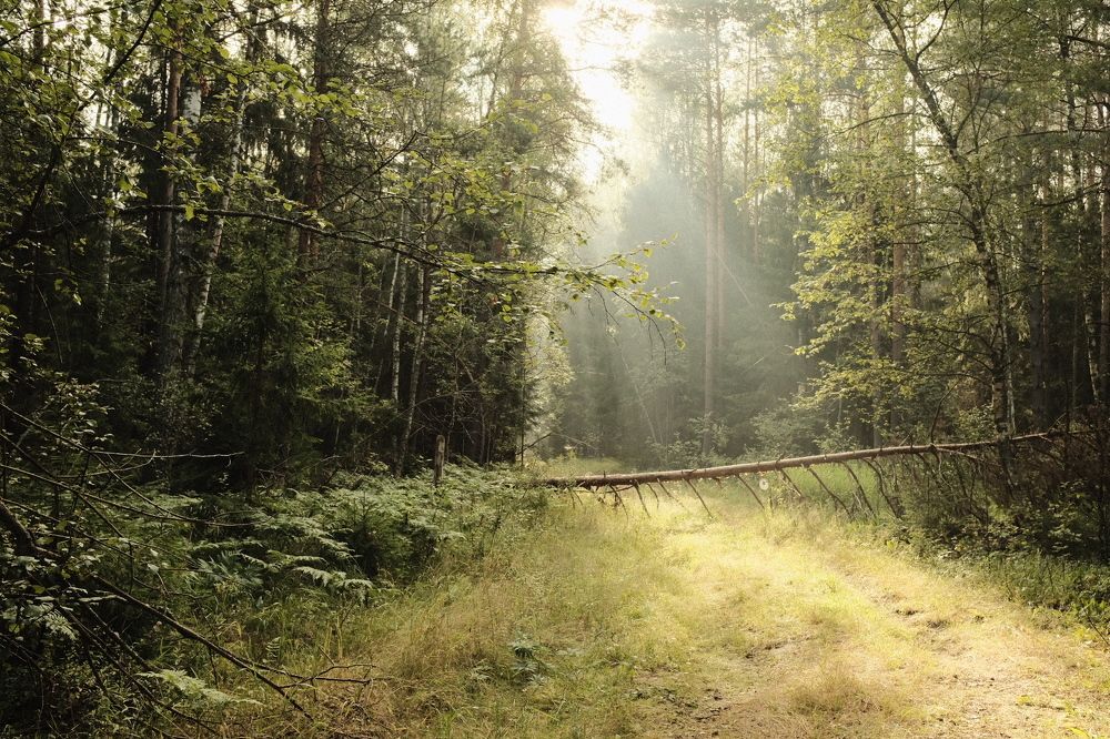 Photograph by Семен Батов