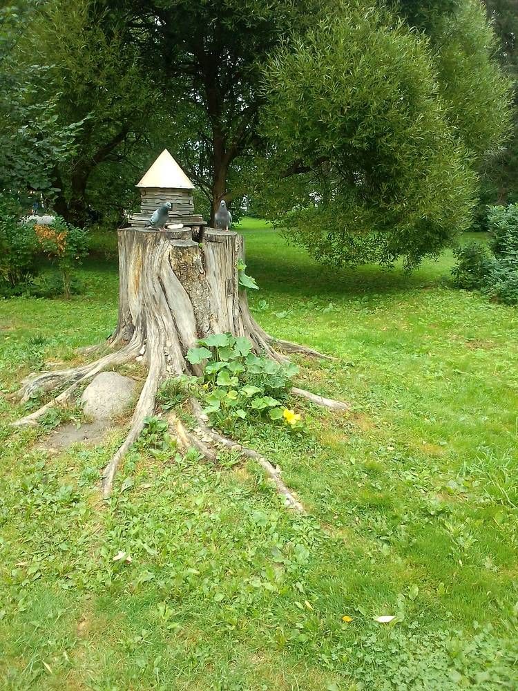 Photograph by Ольга Коркина