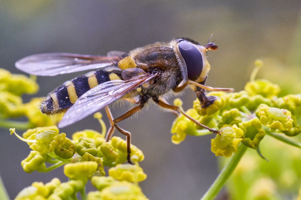 Photograph by Игорь Зиновьев