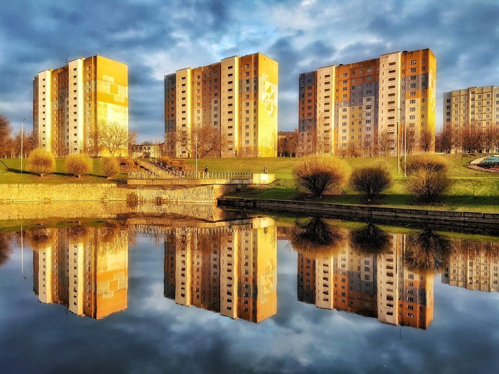 Photo #9389666