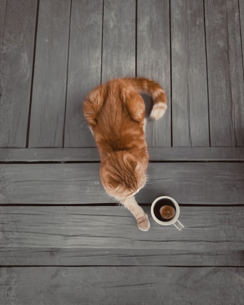 Photograph by Марина Урусова