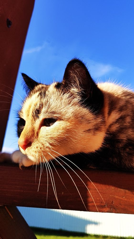 Photograph by Александр