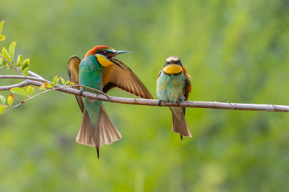 Возмущение