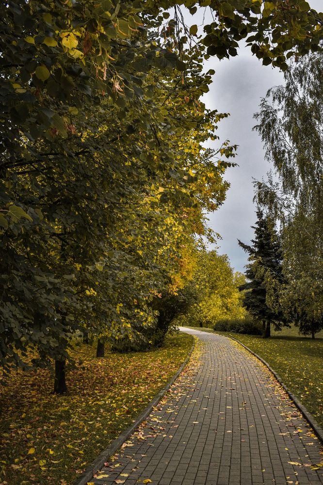 Фотография автора Ксения Вабищевич